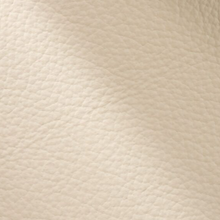 Load image into Gallery viewer, Small Clasp Clutch